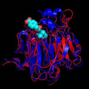 Anthrax Gluten
