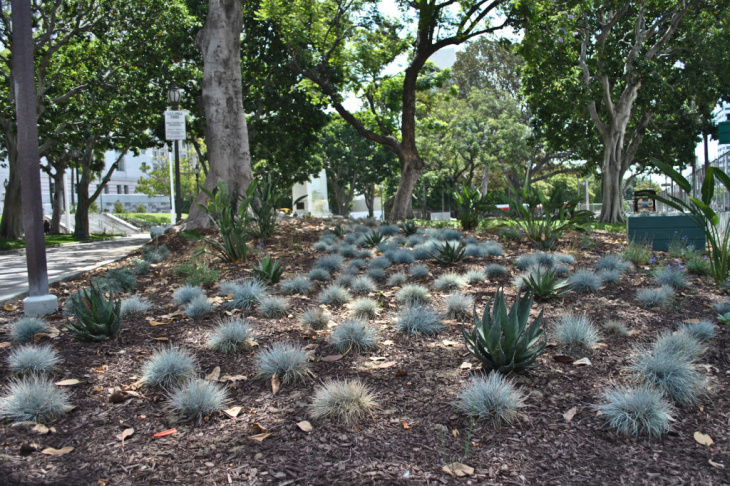 City Hall Lawn
