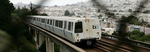 Mercer 20238