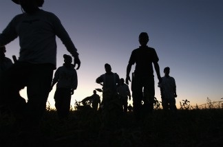 Migrant farm workers from Mexico finish a long day of harvesting organic vegetables at Grant Family Farms on Sept. 3, 2010 in Wellington, Colo. The farm hires some 250 immigrant workers during the peak harvest season. Owner Andy Grant lamented that the issue of illegal immigration has become politicized nationally. 'They feed America,' he said of immigrant workers. 'They should not be victimized.'