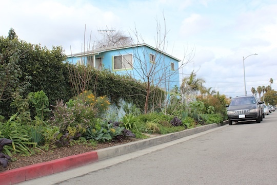 Streetside view of Ron Finley's garden