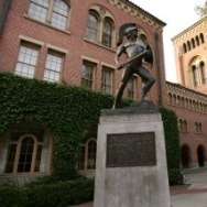 Mercer 20816