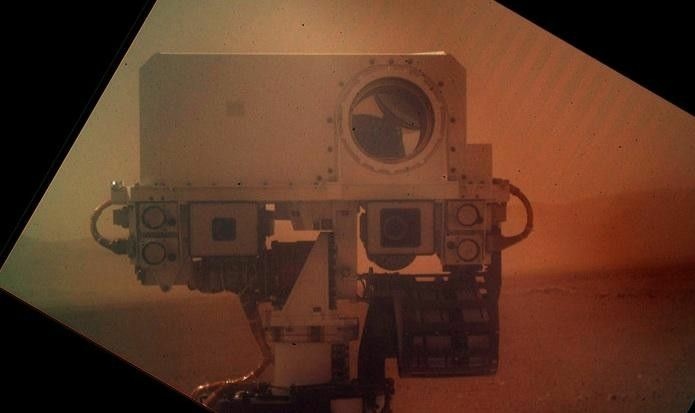 Curiosity self portrait