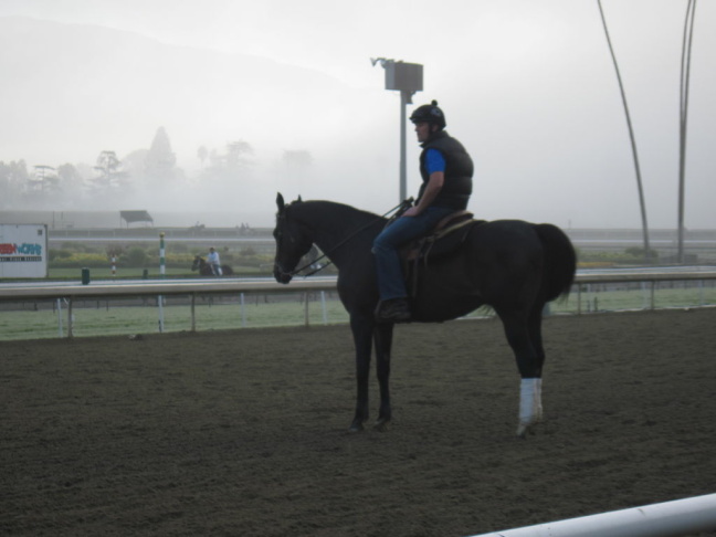 Breeders' Cup