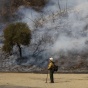 Williams Fire Burns In The Angeles National Forest