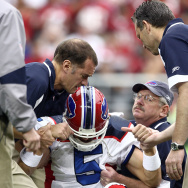 Buffalo Bills v Arizona Cardinals