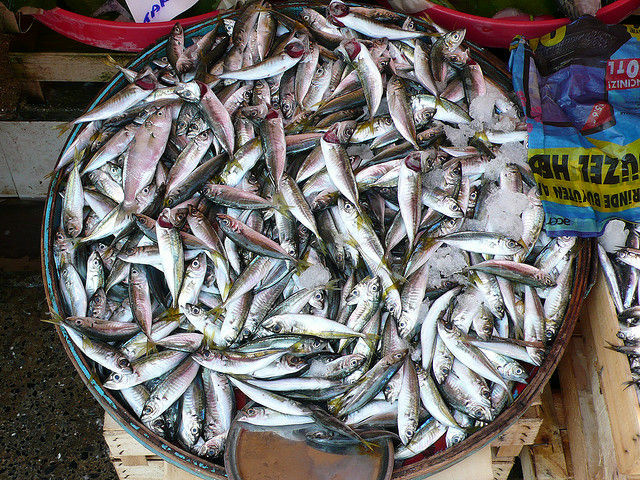 A basket of herring, not necessarily for Thanksgiving.