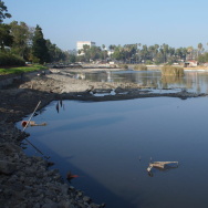 Echo Park Lake drained