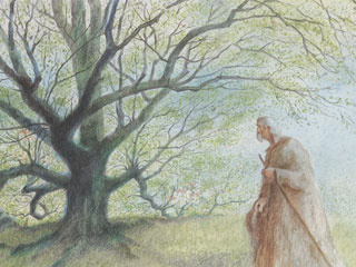 Still from "The Man Who Planted Trees" (1987) by Frédéric Back.