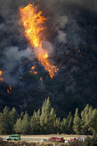 Williams Fire Burns In The Angeles National Forest