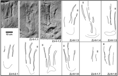 Dinosaur tracks.