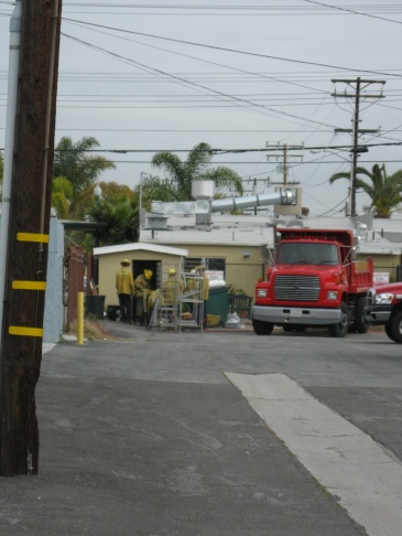Mercer 15553