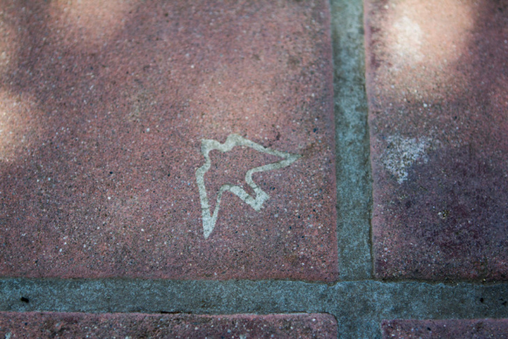 Capistrano Swallows
