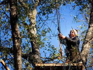 Grace Cagle, a protester with the Tar Sands Blockade, has spent a total of 17 days up in the trees.