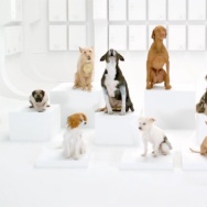 The Bark Side