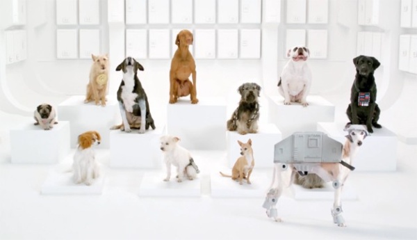 The Bark Side