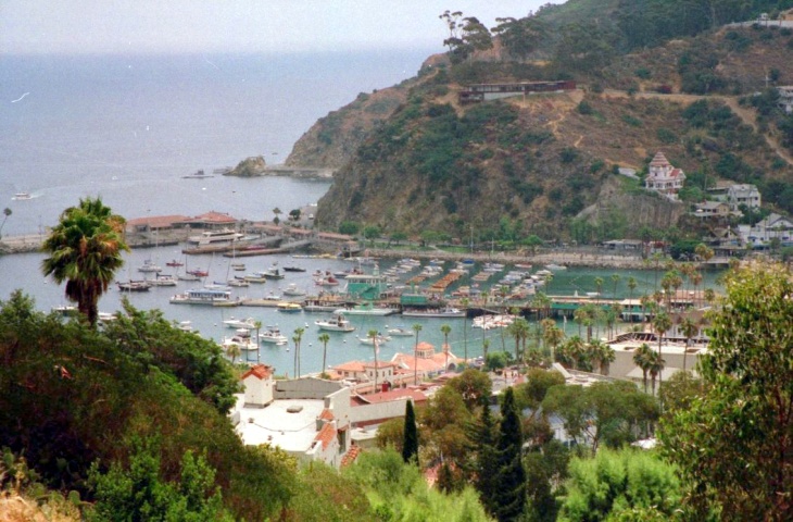 catalina
