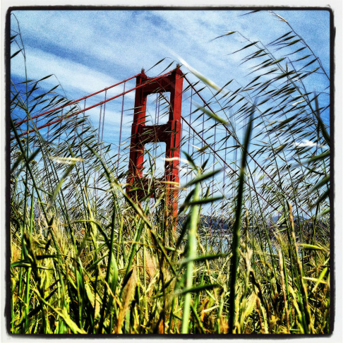 The Golden Gate Bridge