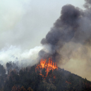 Colorado's High Park Fire Burns 37,000 Acres, Forces Evacuations