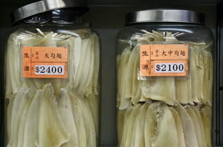 Dried shark fins for sale in jars are displayed at a retailer along a busy street in the Central district of Hong Kong on Nov. 12, 2008. Many big shark species have fallen prey to booming Asian economies where shark-fin soup is prized as a must-have delicacy at weddings and other banquet occasions.