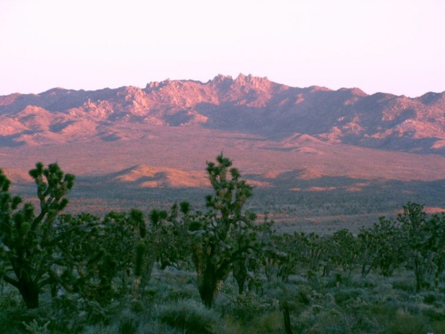 Mojave Desert