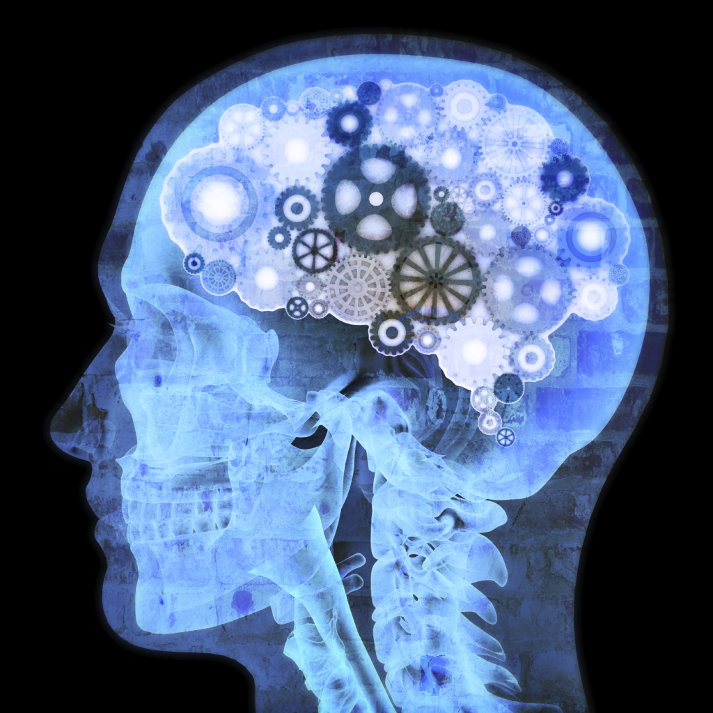 Map Of Developing Human Brain Shows >> Map Of The Developing Human Brain Shows Where Problems Begin 89 3 Kpcc Map Of Developing Human Brain Shows >> Map Of The Developing Human Brain Shows Where Problems Begin 89 3 Kpcc