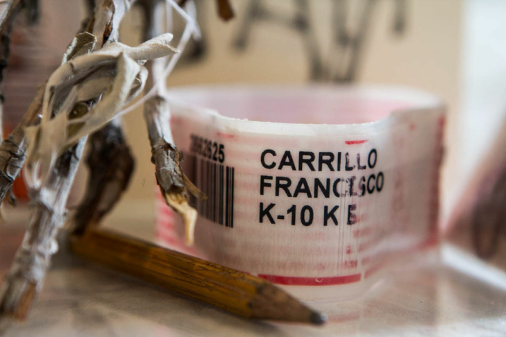 Franky Carrillo