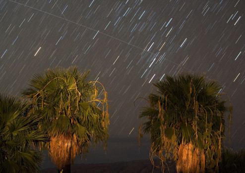 The Annual Perseid Meteor Shower Offers Celestial Show In Night Sky