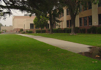 Mercer 2354