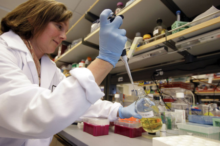 California Stem Cell