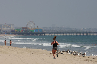 A beach in California