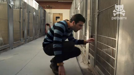 Zachary Quinto looks to adopt a Los Angeles shelter dog in "Dog Eat Dog."