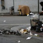 Los Angeles To Allow Homeless To Sleep On Sidewalks