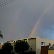 Mercer 10768