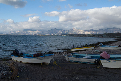 Small boats, called pangas, are used in Mexico to fish. They are about 20 feet long, and with two or three outboard motors on back, a smuggler can take a load of up to 20 people far up the coast.