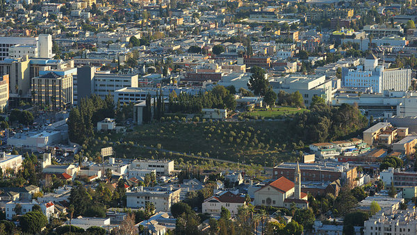 Barnsdall Art Park on Olive Hill