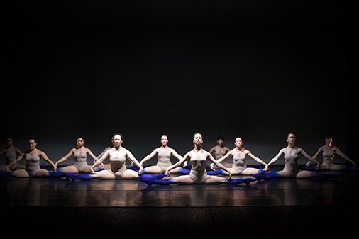 The Next Dance Company