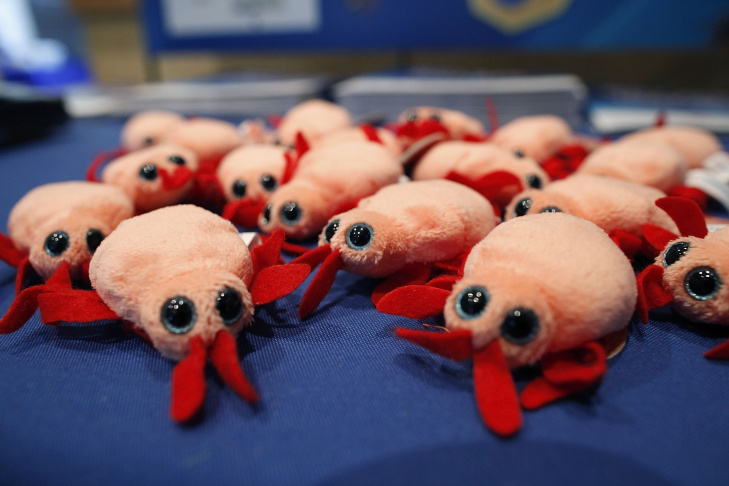 Bed Bug Summit Held Near Chicago