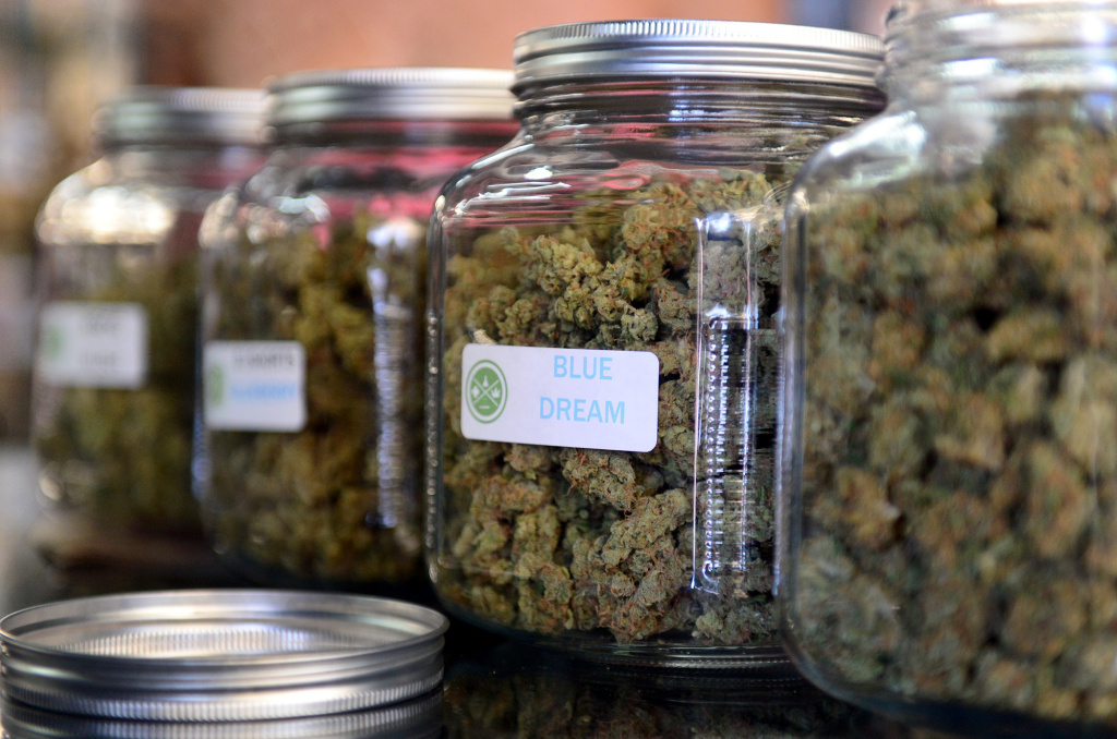Massive Study Concludes Cannabis Has Legitimate Medicinal Value