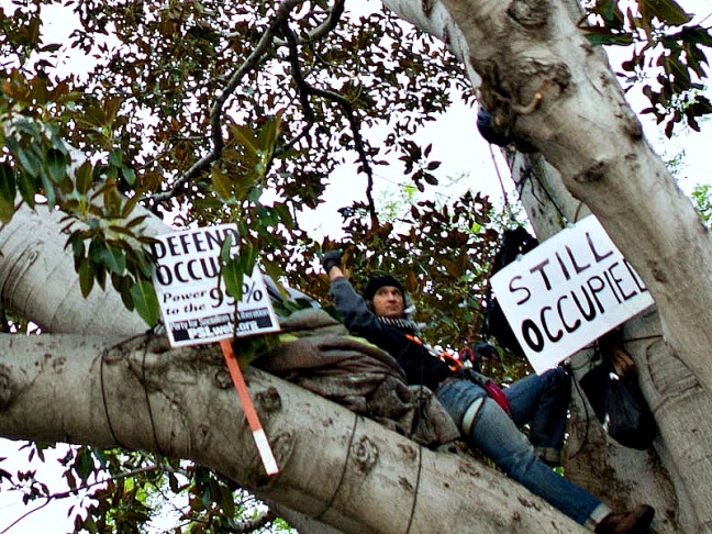 Occupy LA 