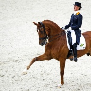 Dutch dressage rider Adelinde Cornelisse