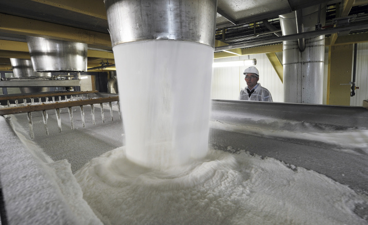 Sugar refinery