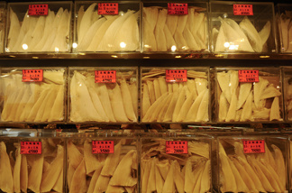 Shark fins displayed for sale in a glass cabinet in Hong Kong's Shueng Wan district.