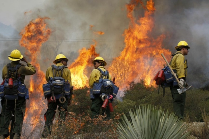 Williams Fire Burns In The Angeles National Forest