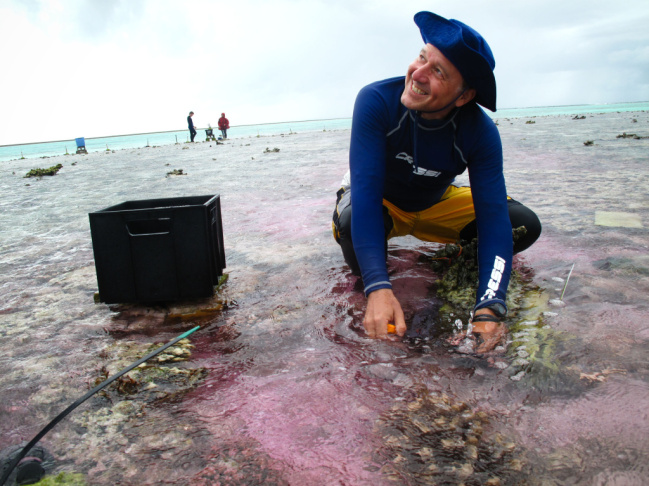 Ken Caldeira of the Carnegie Institution for Science takes a water sample during his experiment on part of the Great Barrier Reef. The water is slightly pink because his team is using a dye to trace an acid-neutralizing chemical as it flows across the ree