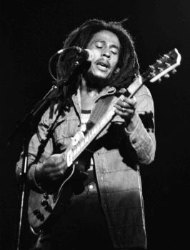 Bob Marley Family Feud
