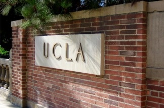 Mercer 20504