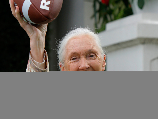 jane goodall
