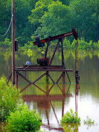 Mercer 6364