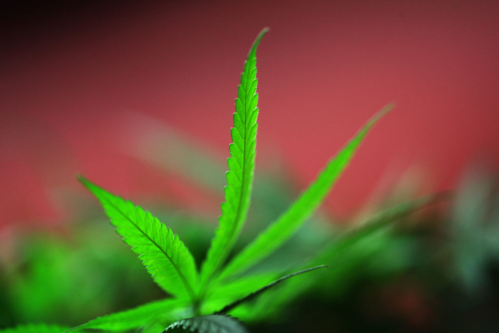 Los Angeles City Council Votes To Ban Medical Marijuana Dispensaries
